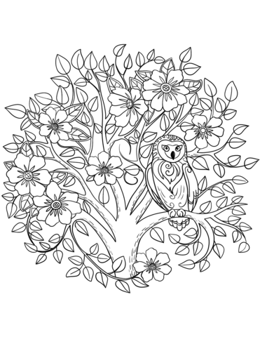 Owl And Blooming Tree Coloring Page